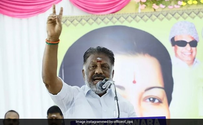 O Panneerselvam Gets 'Jackfruit' As Symbol To Contest Lok Sabha Polls