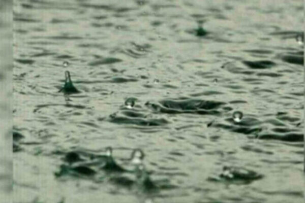 Parts of composite Adilabad see light rains