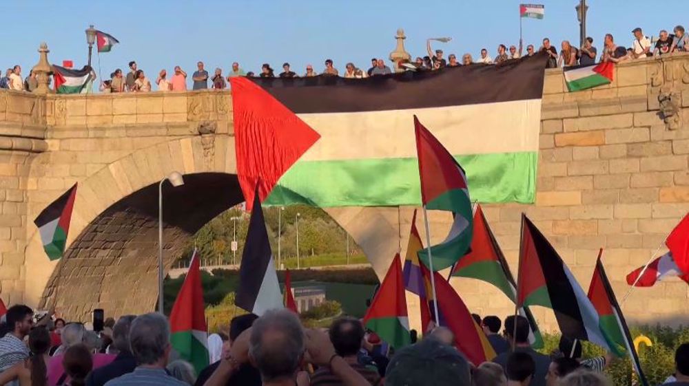 Massive Palestinian flag unfurled on Madrid's Toledo Bridge