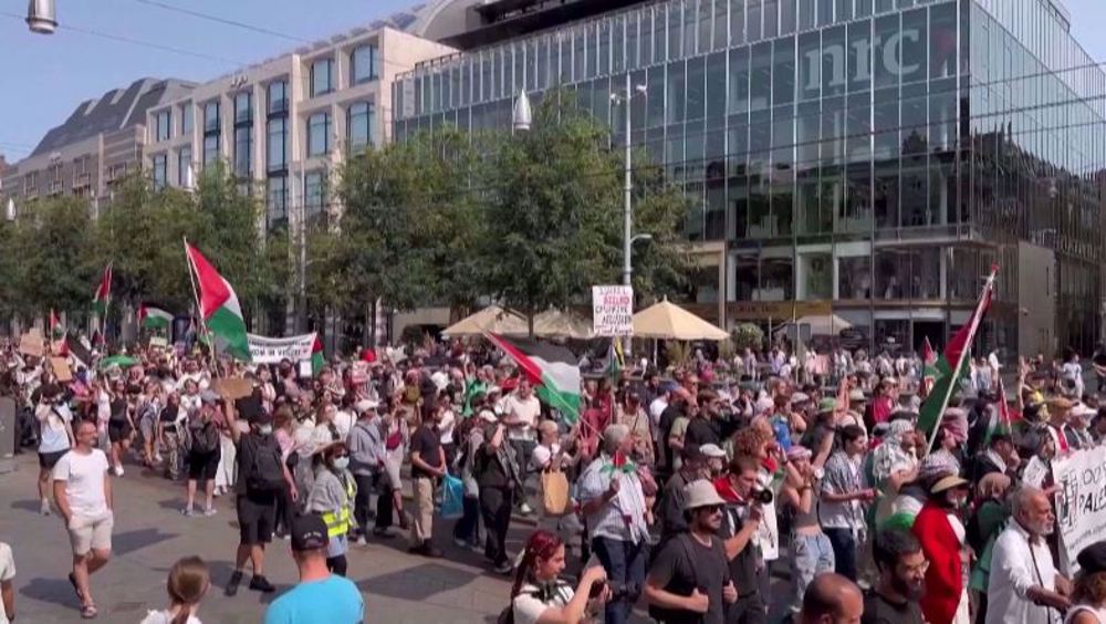 Pro-Palestinian protest in Netherlands challenges govt. stance on Gaza war