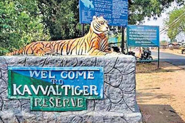 Staff crunch hits conservation of tigers in Adilabad