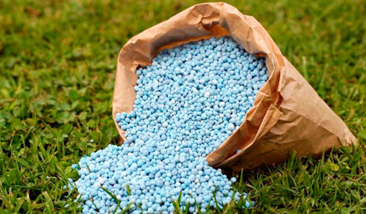 India has adequate fertiliser stocks despite global supply concerns
