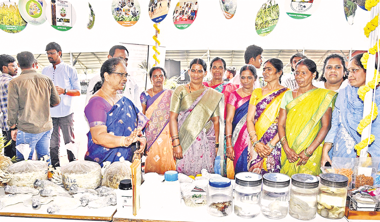 Mega Farmers’ Mela begins at PJTAU in Hyderabad