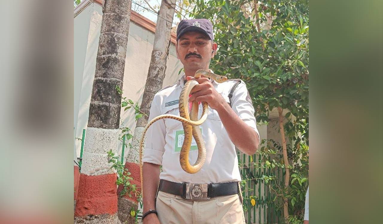 Policeman catches snake near old Council building in Hyderabad