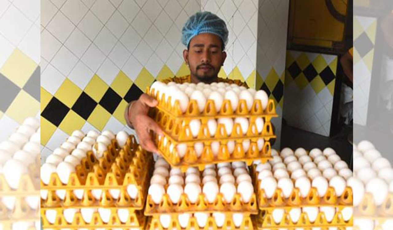 Egg prices fall sharply as Iran-Israel conflict hits exports