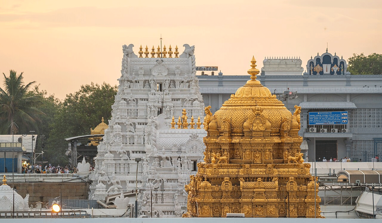 TTD says adequate ghee stocks available for Tirupati laddu preparation