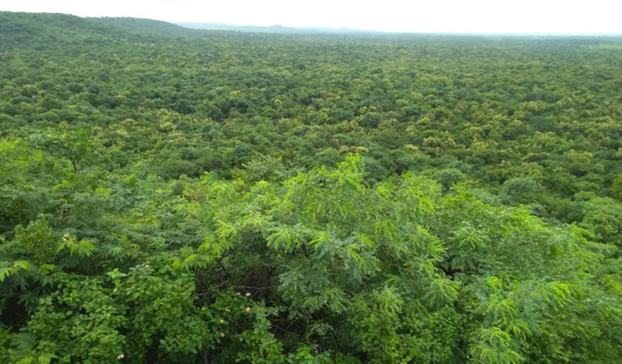 Telangana HC allows Navy VLF station in Vikarabad, monitors afforestation