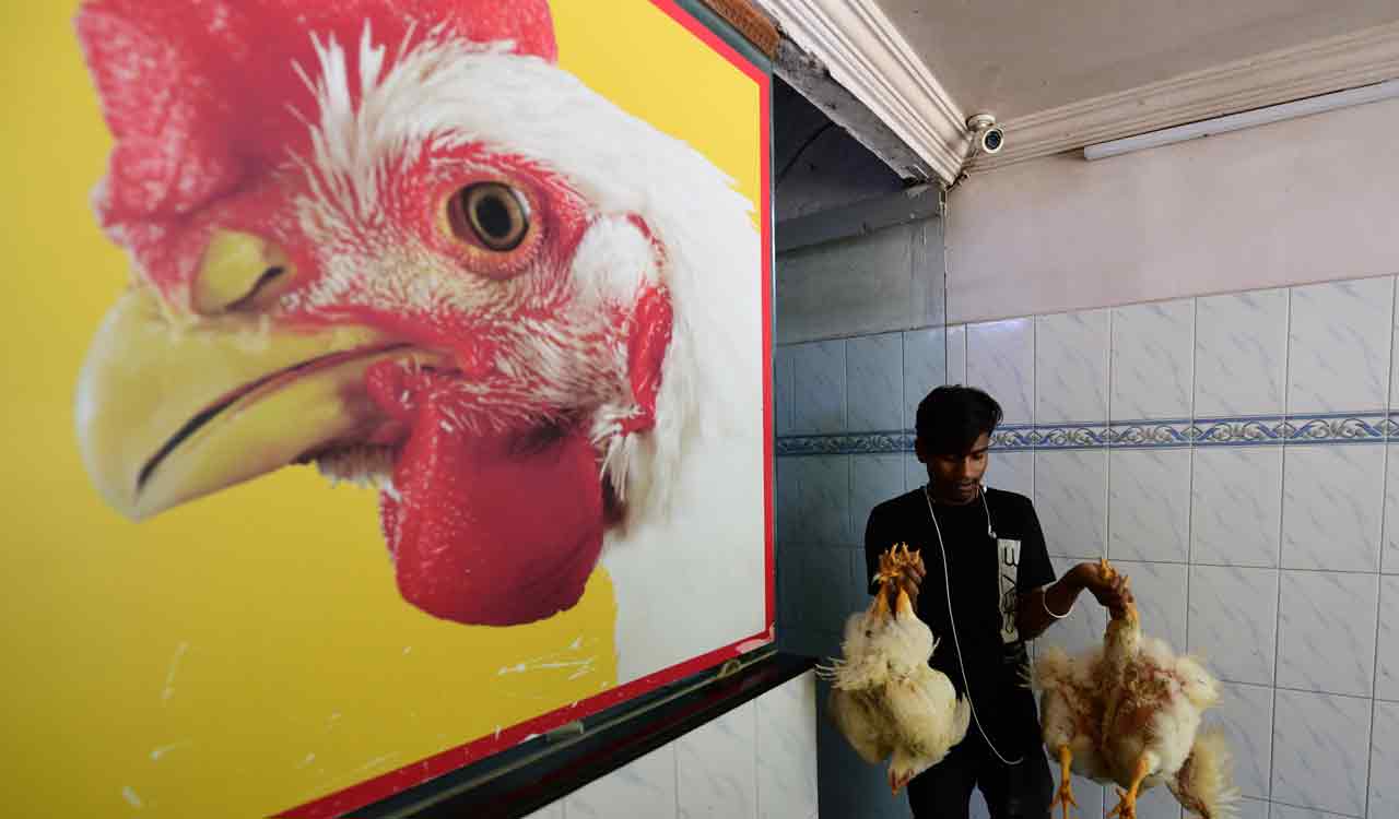 Hyderabad: Tension in LB Nagar as dispute erupts at chicken shop during poultry bandh