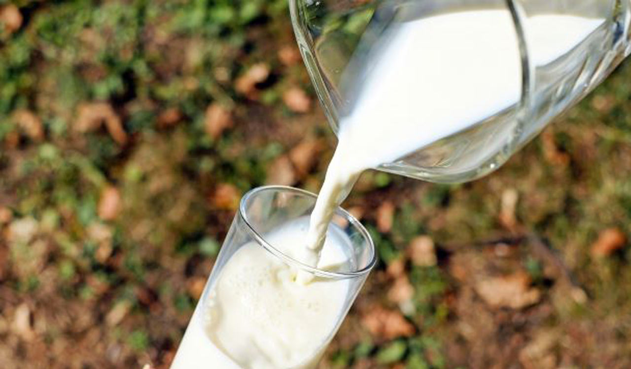 Kerala faces power cuts and possible milk price hike after polling