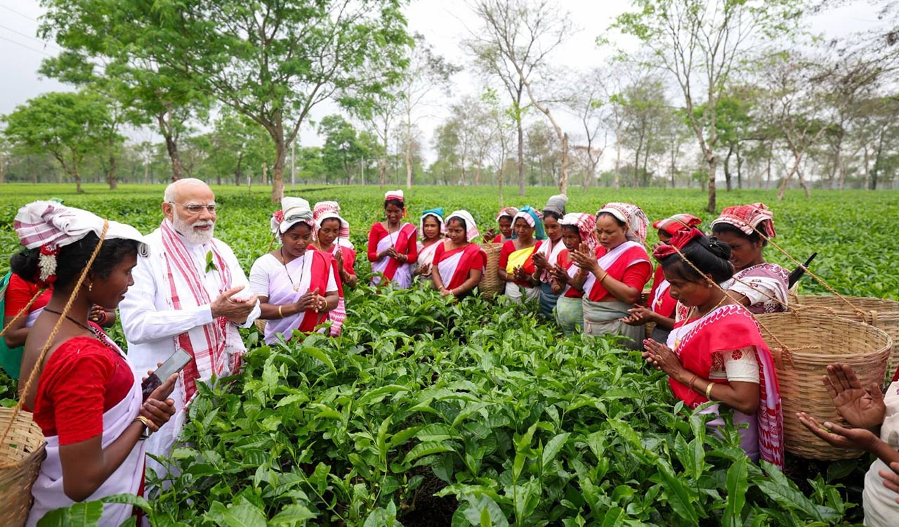 ‘Memorable experience’: PM Modi visits tea garden in Dibrugarh, lauds workers for their hardwork