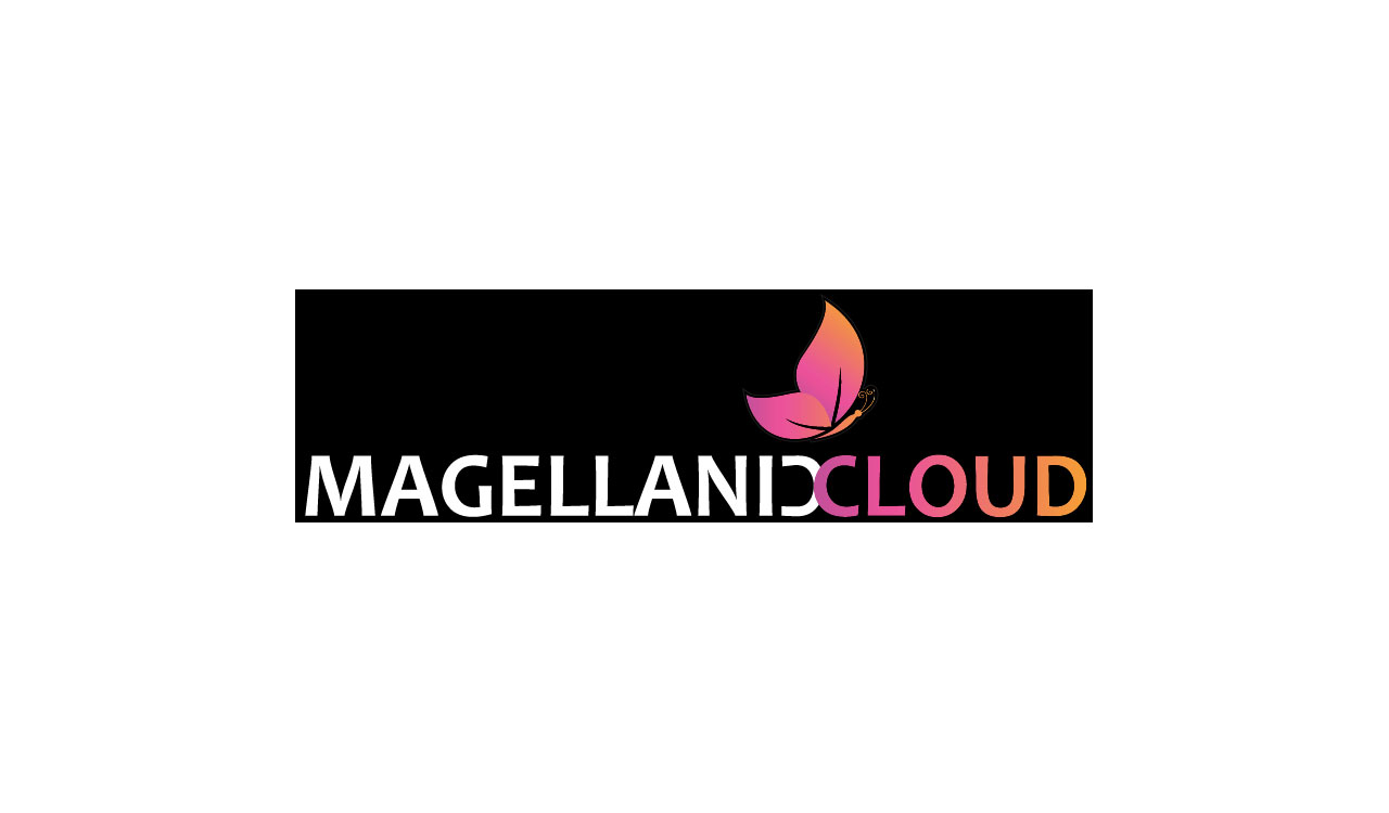 Magellanic Cloud forms joint venture to manufacture UAVs in India