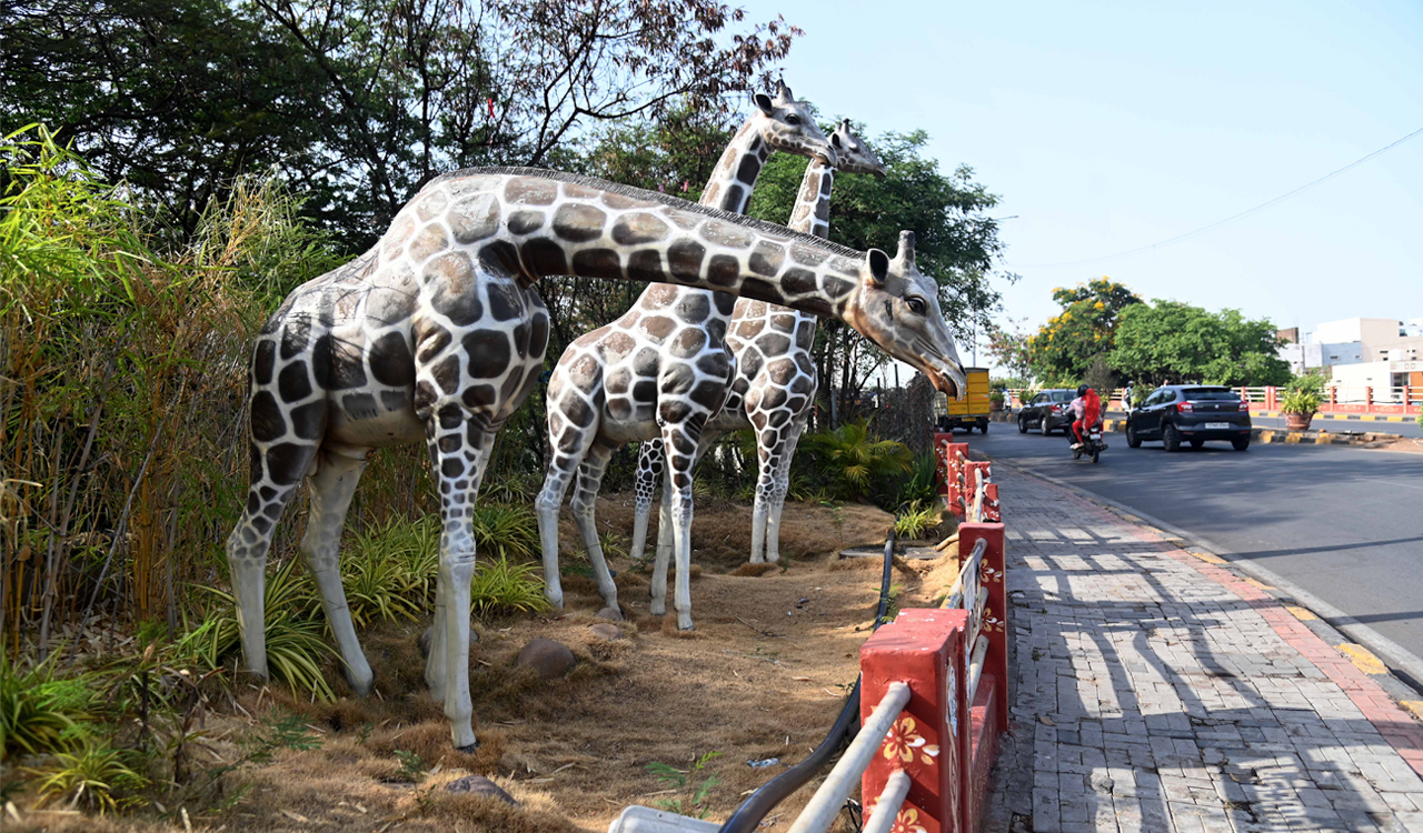 City Beautification: Hyderabad installs animal sculptures across major junctions