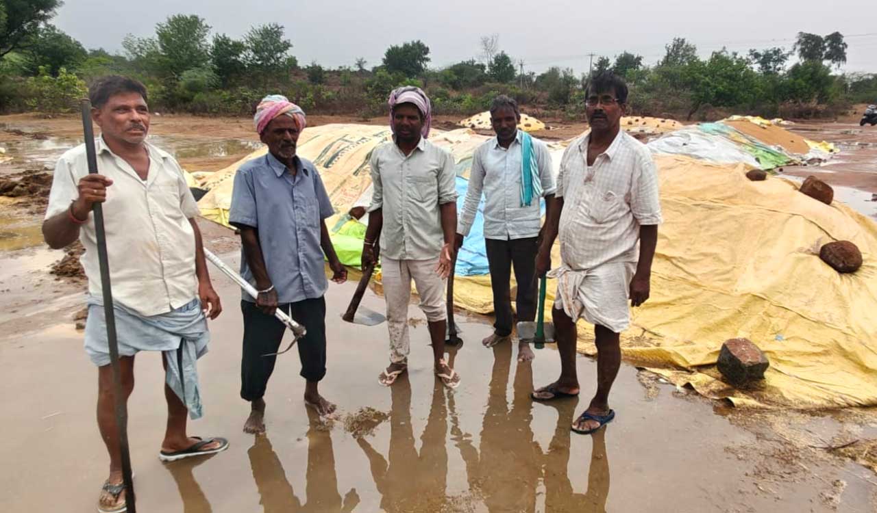 Heavy rains damage crop stocks in Mahabubnagar, Nalgonda districts