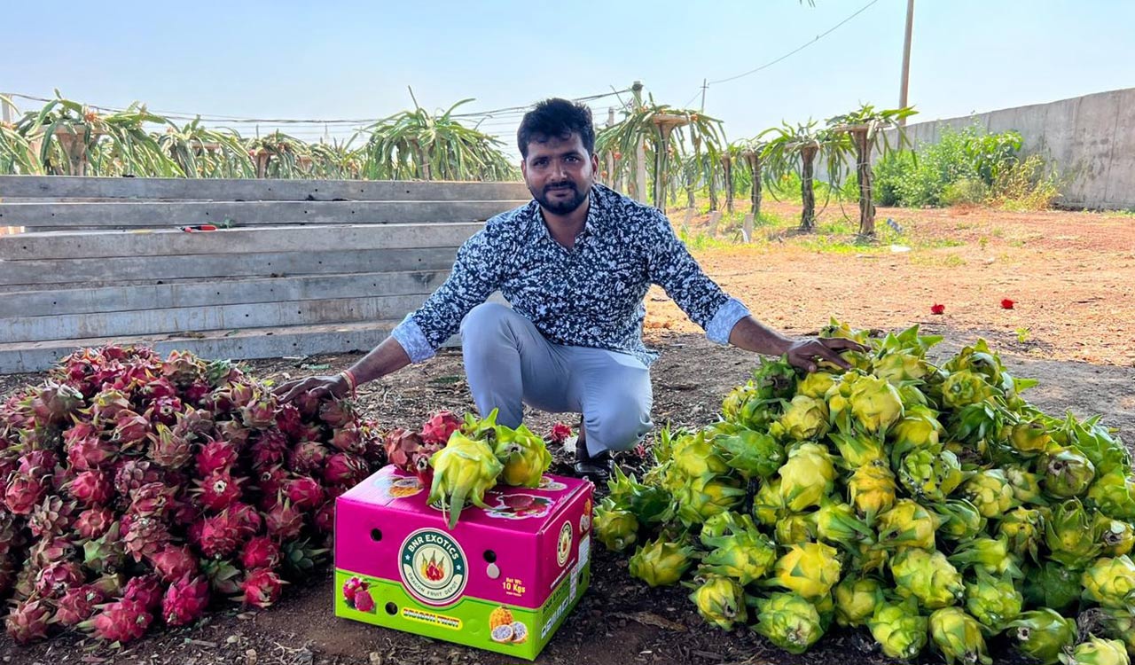 Zaheerabad leads Telangana in crop diversity with 130+ varieties