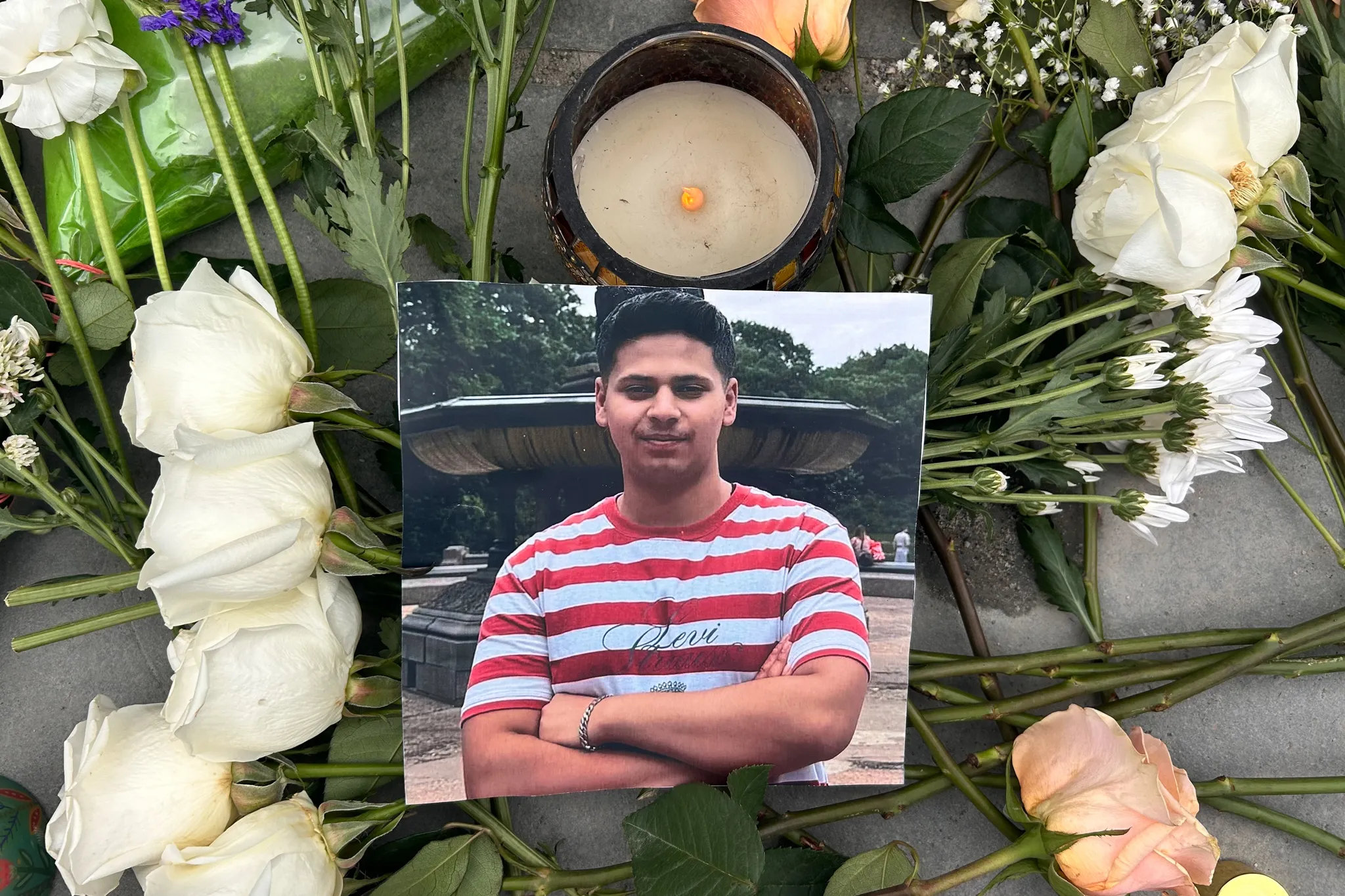 NYC renames Horse Carriage Ban Bill after Indian teen Romanch Mahajan
