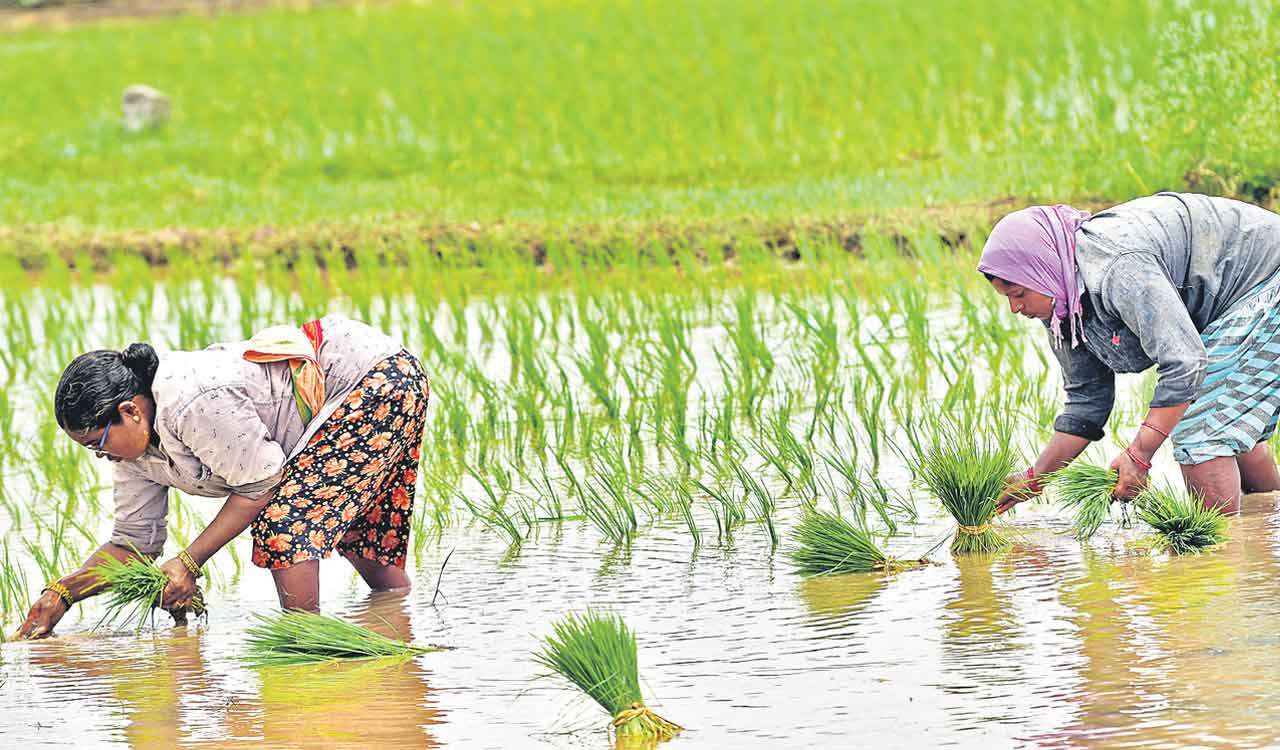 Rythu Bharosa disbursement uncertain ahead of Vaanakalam crop season