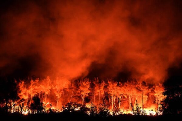 Major wildfire forces evacuations in southern France
