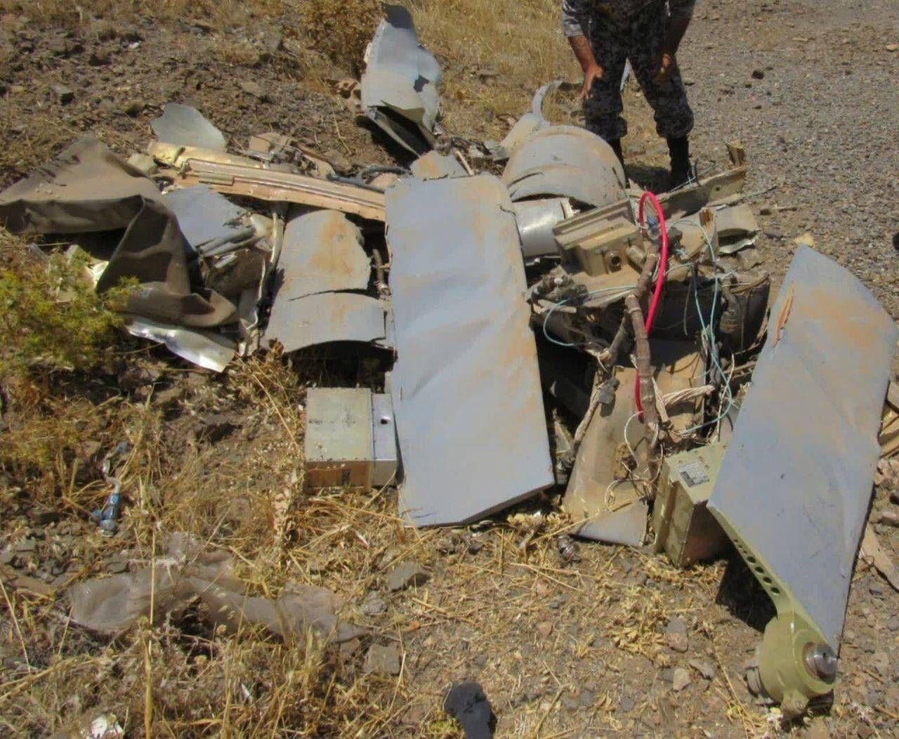 Iran army downs US cruise missile in west