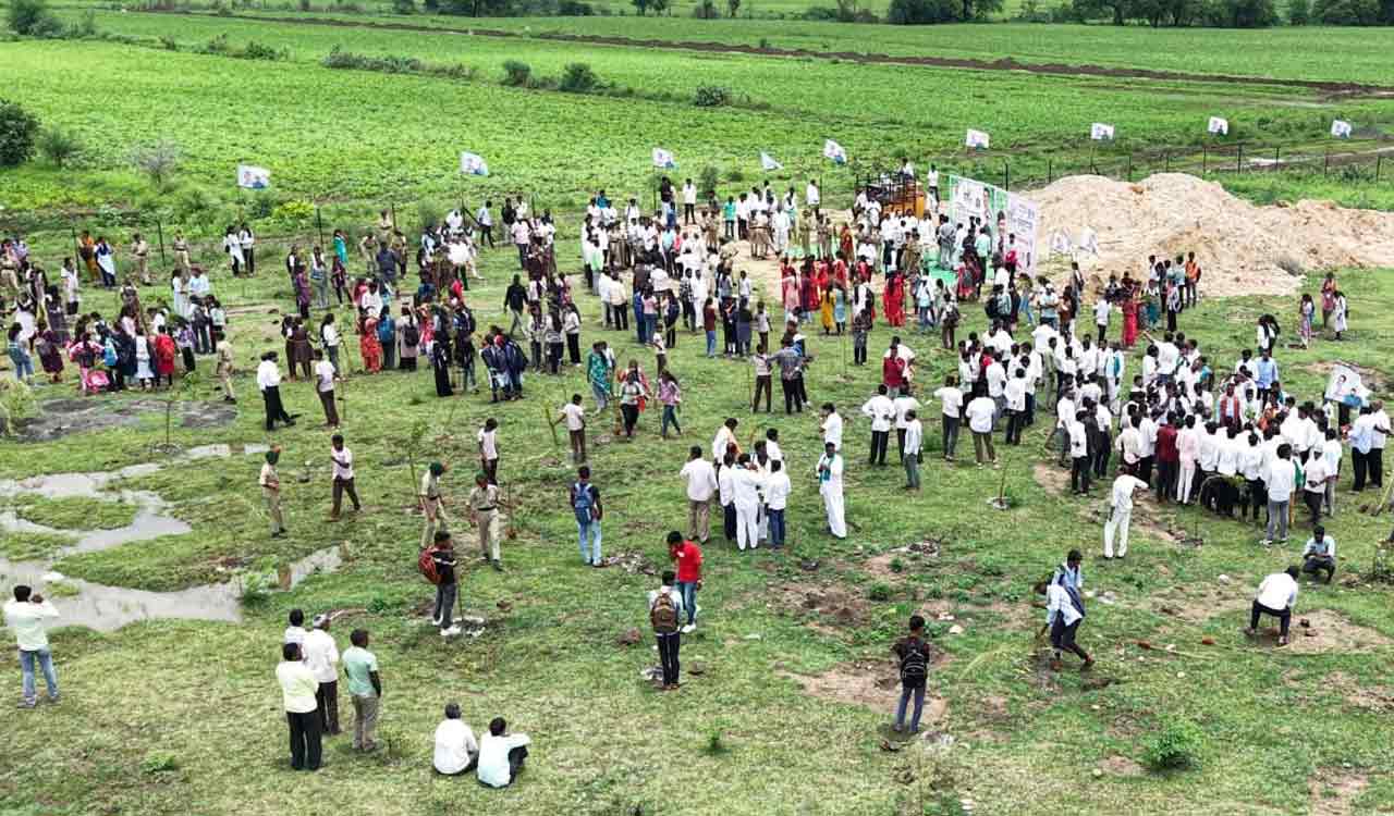 Green India Challenge marks KTR’s 50th birthday with 1,000 bamboo saplings along Godavari