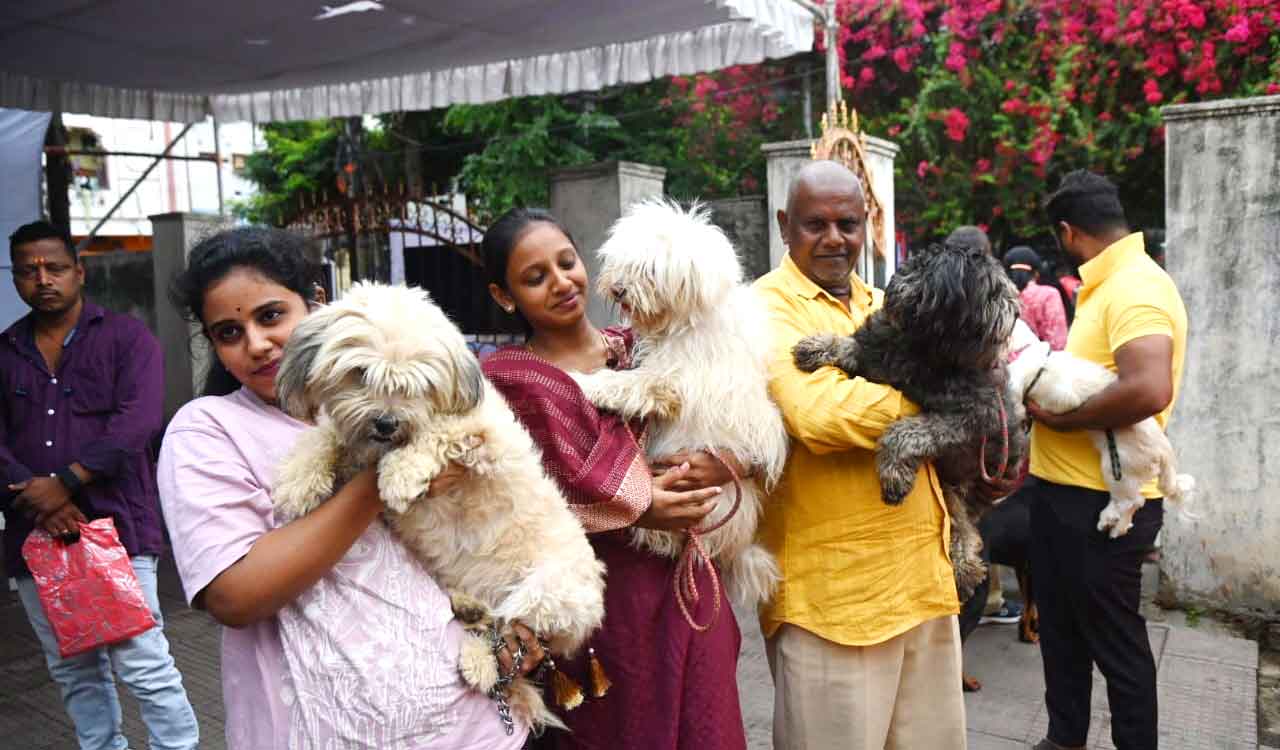World Zoonoses Day: Hyderabad vets stress rabies vaccination and awareness to prevent animal-borne diseases