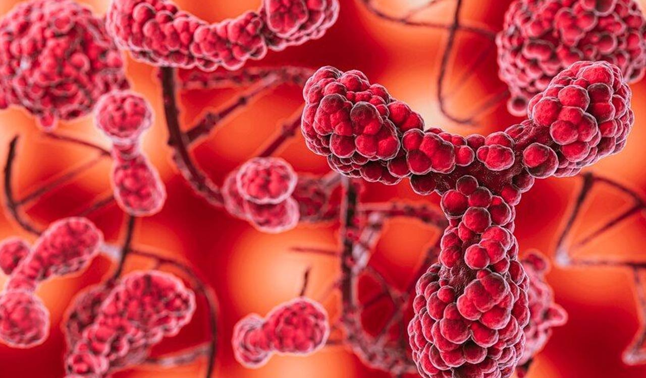 Three cancers that should never be poked (biopsied)