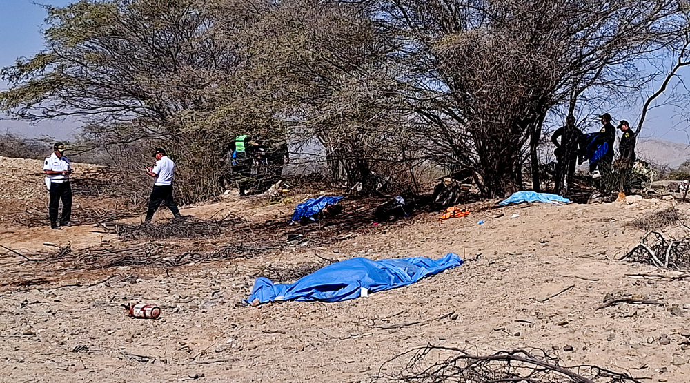 Small plane carrying foreign tourists crashes in southern Peru, killing 13