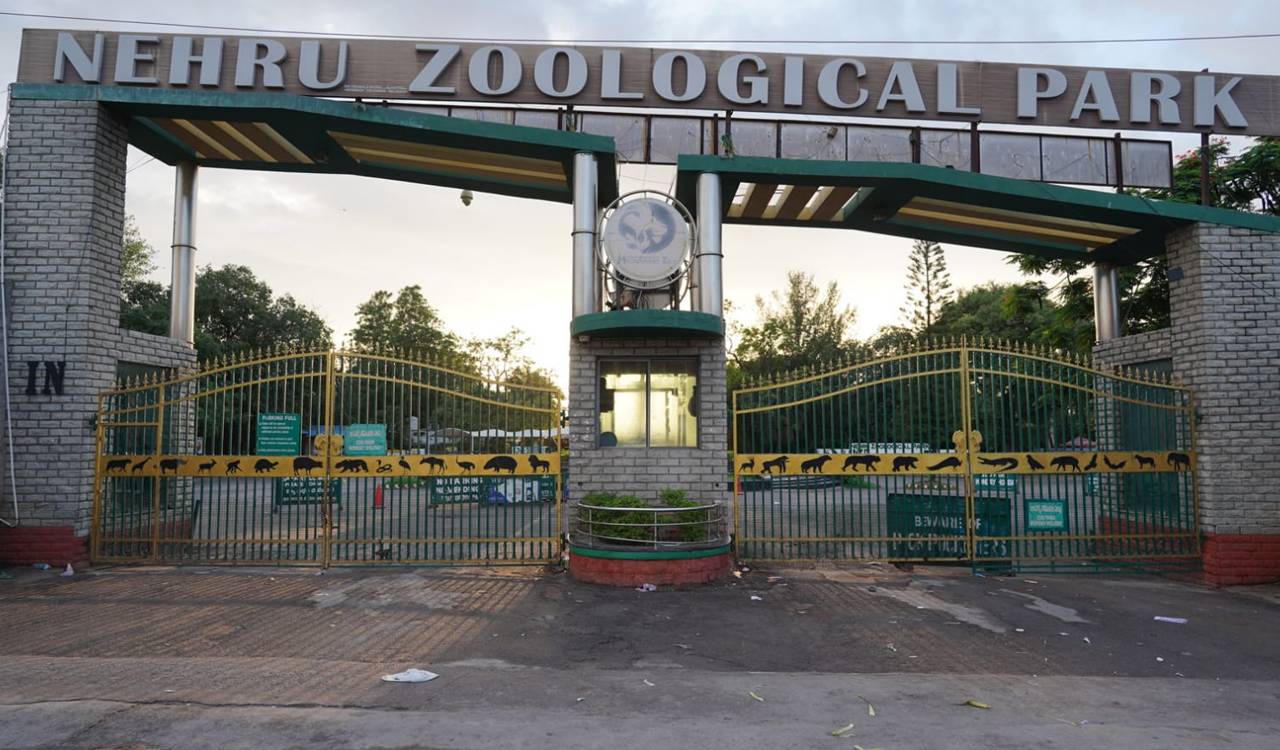 Hyderabad Zoo revises entry timing for September 11
