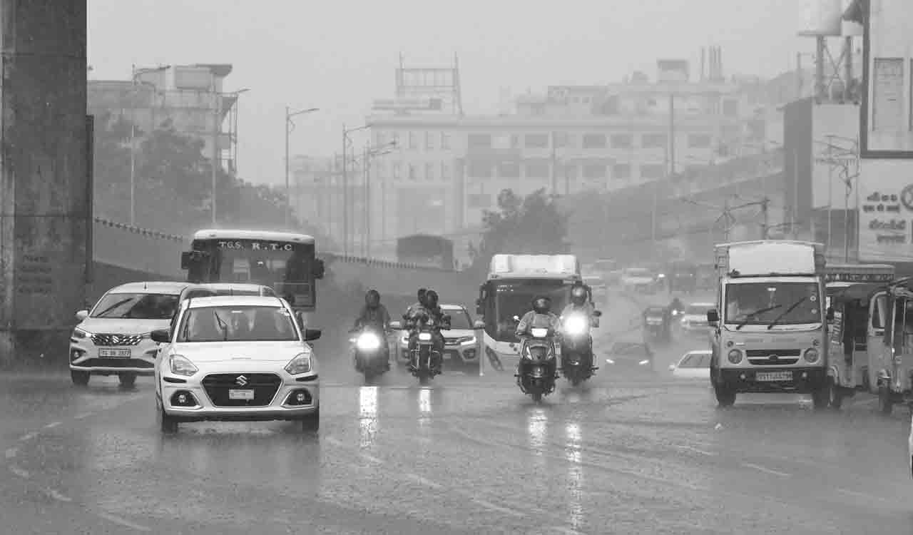 Light to moderate rains delight farmers in Mancherial, Asifabad
