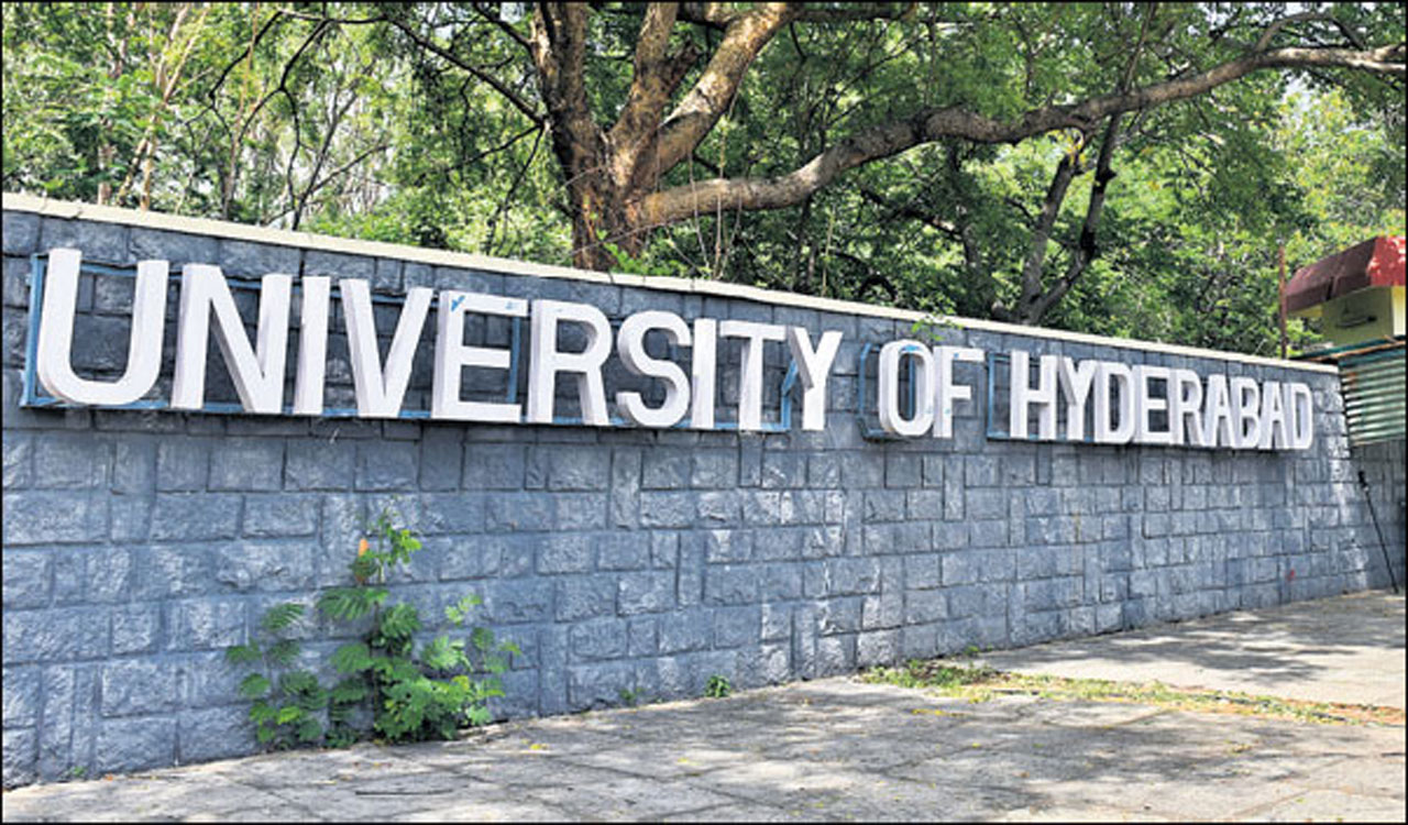 UoH moves up to 801–1000 band in THE World University Rankings 2027