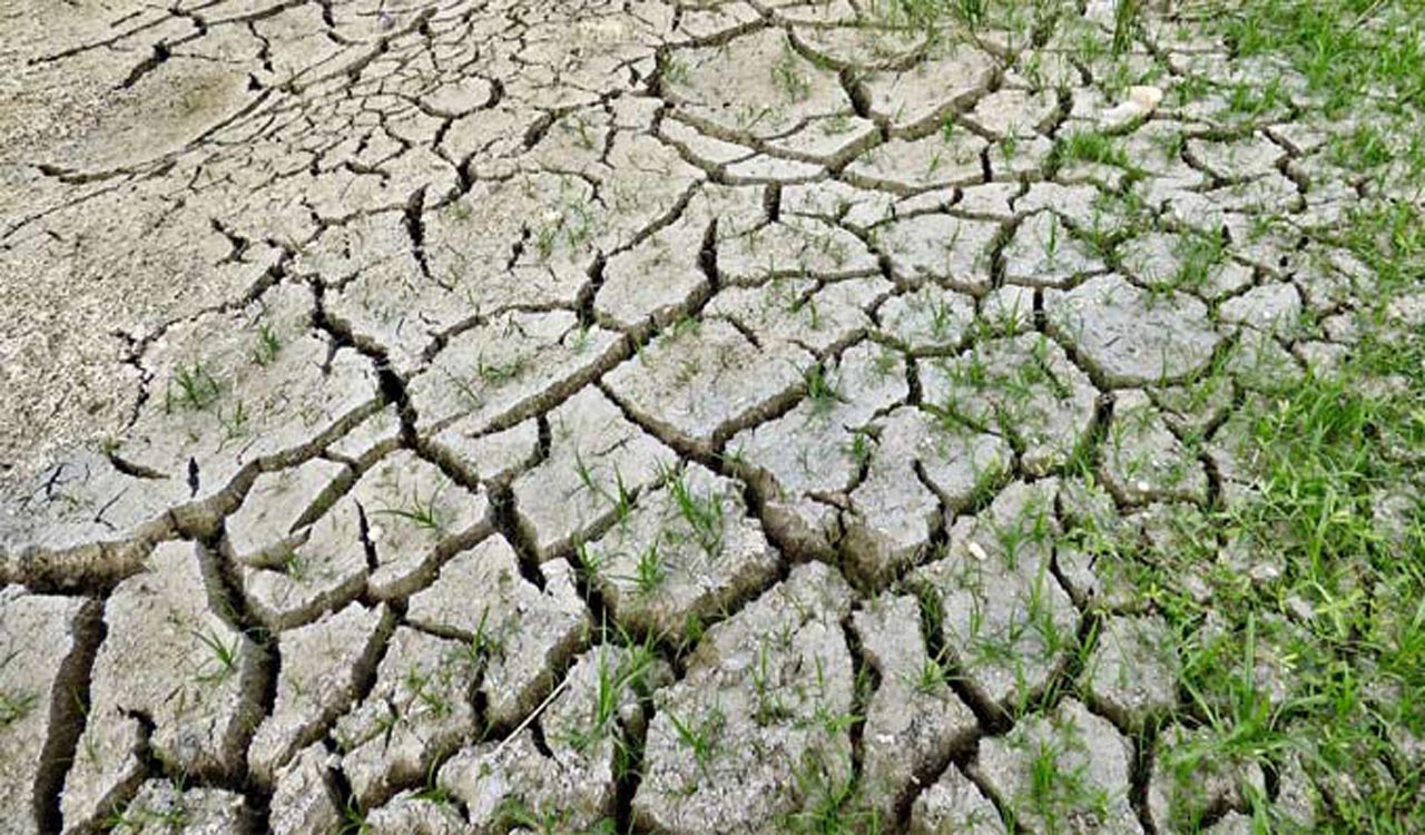 Worsening El Nino threatens Asia with drought, potentially raising food prices globally