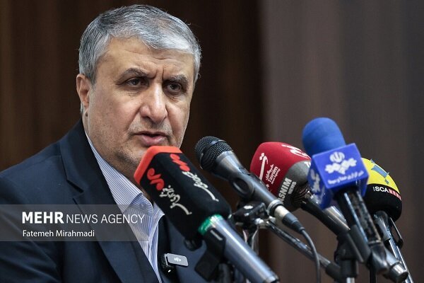 Iranian nation to never surrender: AEOI chief says