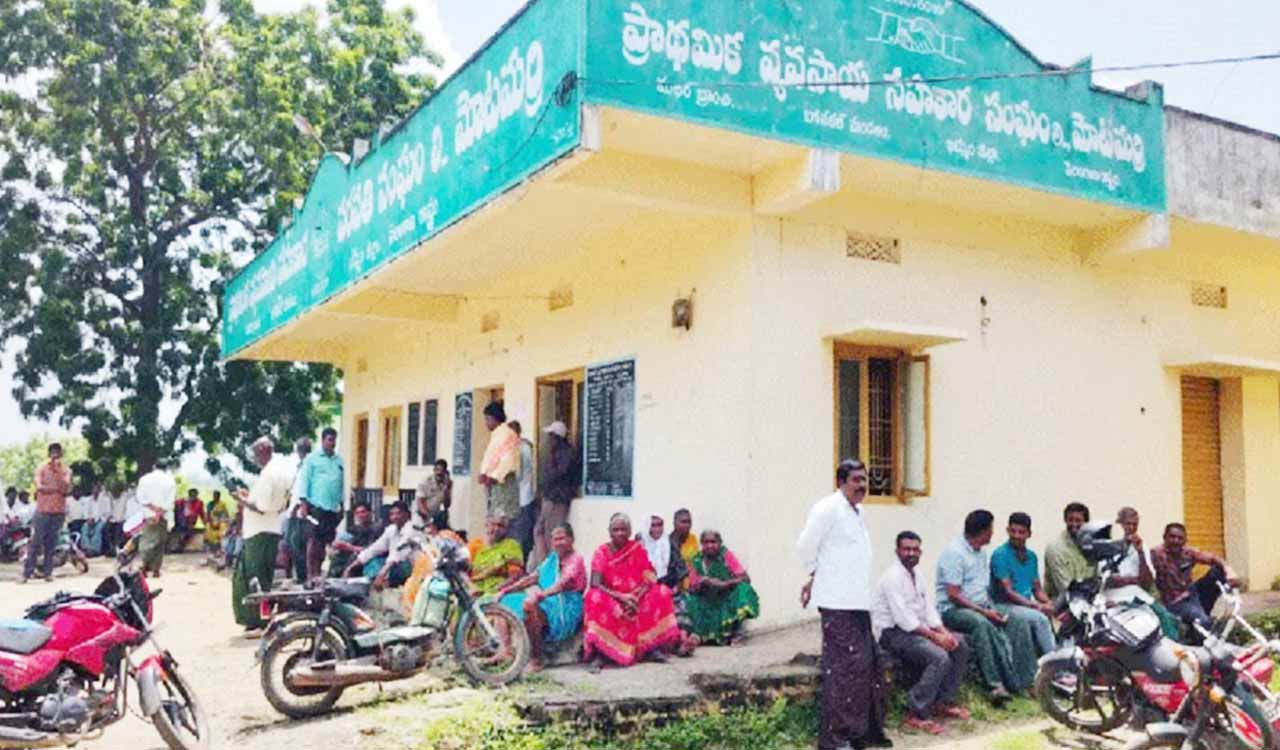 Cotton procurement centres to open as Telangana targets MSP for farmers