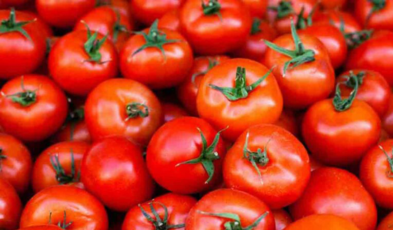 Tomato prices more than double in Hyderabad in a fortnight