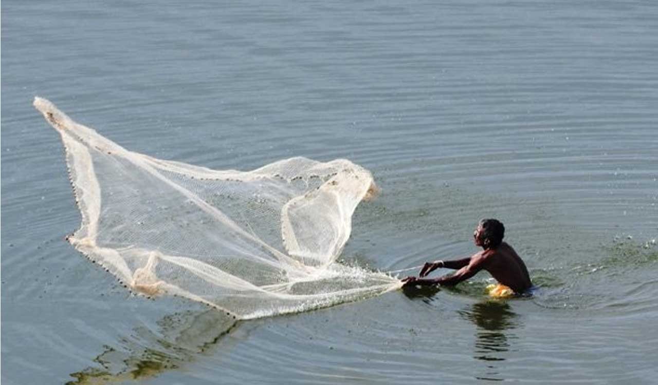 Delayed fish seed release worries Telangana fishermen